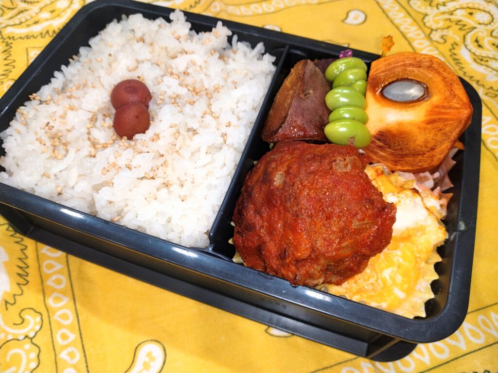 煮込みハンバーグ弁当